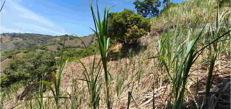 Lote en Venta en Santa Bárbara, Santa Bárbara-11
