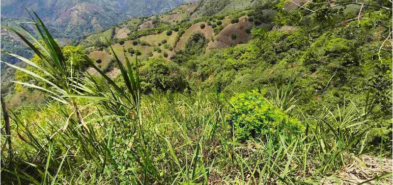 Lote en Venta en Santa Bárbara, Santa Bárbara-12