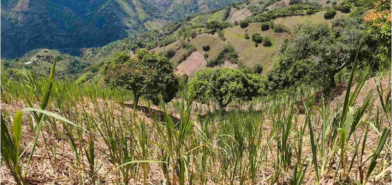 Lote en Venta en Santa Bárbara, Santa Bárbara-14