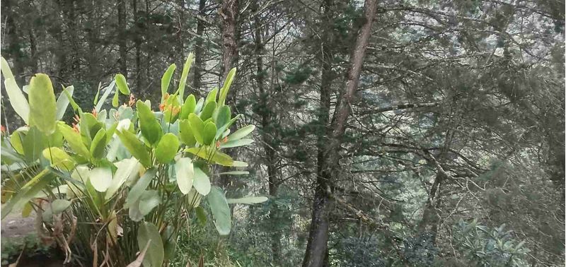 Casa en Venta en Envigado, El Salado-29