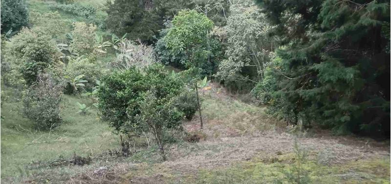 Casa en Venta en Envigado, El Salado-32