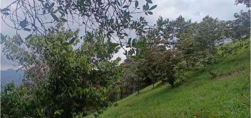 Lote en Venta en Barbosa, Barbosa-9
