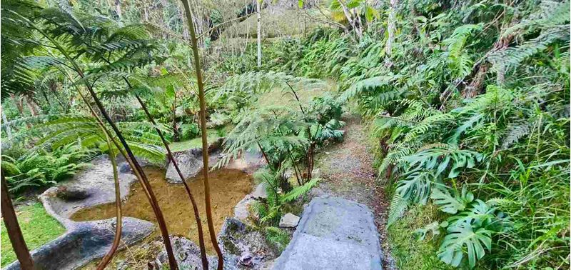 Casa en Venta en Envigado, Alto De Palmas-25