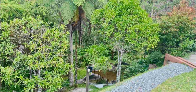 Casa en Venta en Envigado, Alto De Palmas-27