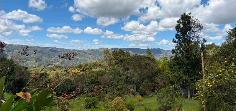 Casa en Venta en Guarne, Canoas-45