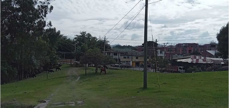Lote en Venta en Rionegro, Rionegro-7