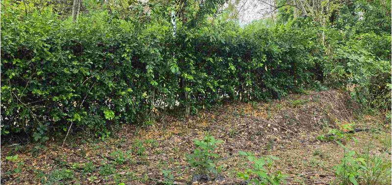 Lote en Venta en San Jerónimo, Sopetrán-5