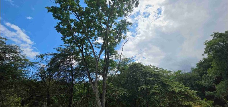 Lote en Venta en San Jerónimo, Sopetrán-7