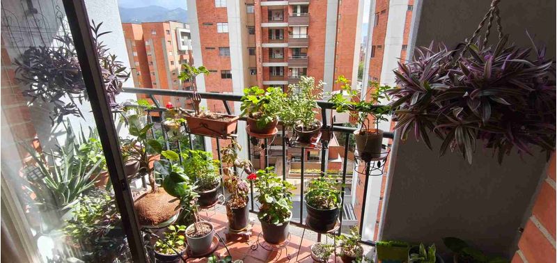 Apartamento en Venta en Envigado, Jardines-4
