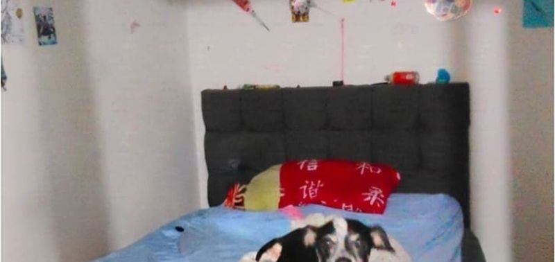Casa en Venta en Bogotá, D.C., Bonanza-10