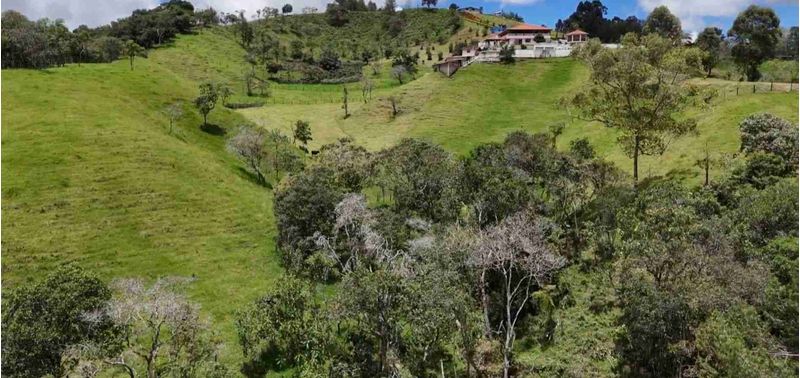 Casa en Venta en Guarne, Centro Guarne-4