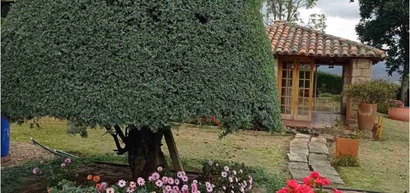 Casa en Venta en Bogotá, D.C., Subachoque-4