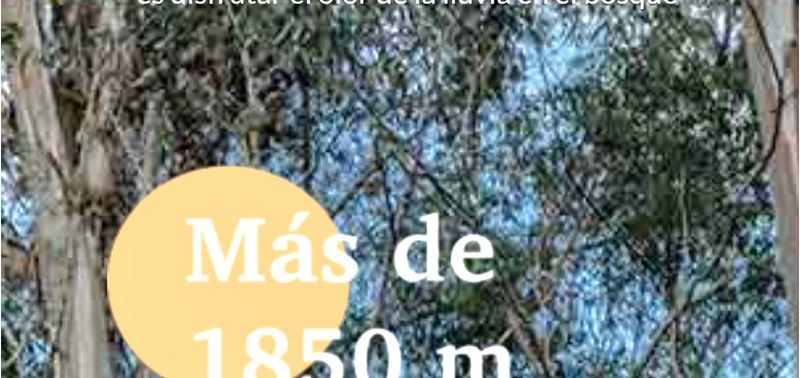 Lote en Venta en Retiro, Pantanillo-2