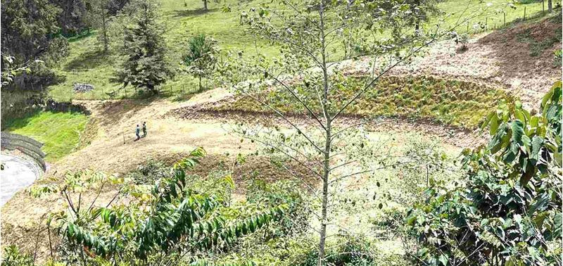 Lote en Venta en Retiro, Pantanillo-8