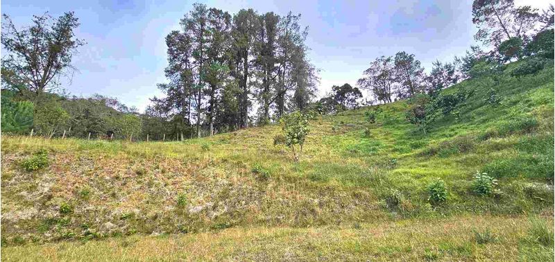Lote en Venta en Retiro, Pantanillo-13