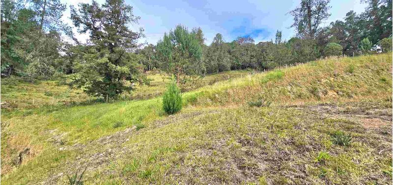 Lote en Venta en Retiro, Pantanillo-15