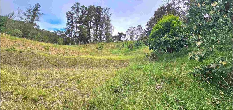 Lote en Venta en Retiro, Pantanillo-18