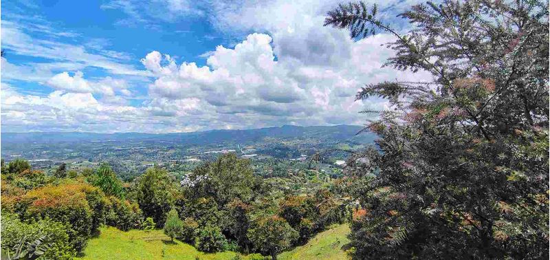 Casa en Venta en Guarne, La Clara-29