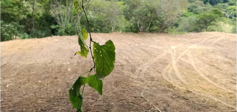Lote en Venta en San Jerónimo, San Jerónimo-1