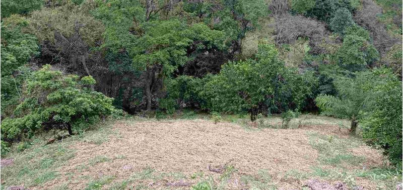 Lote en Venta en San Jerónimo, San Jerónimo-9