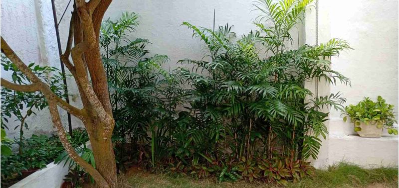 Casa en Venta en Barranquilla, Las Delicias-13