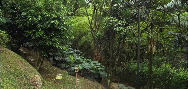 Apartamento en Venta en Medellín, La Frontera-27