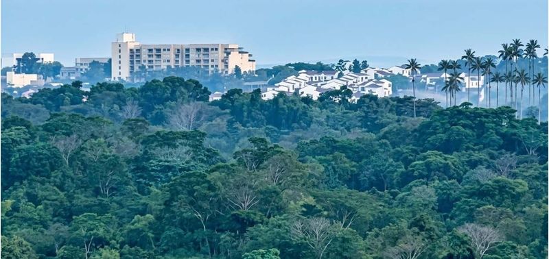 Lote en Venta en Santa Catalina, Santa Catalina