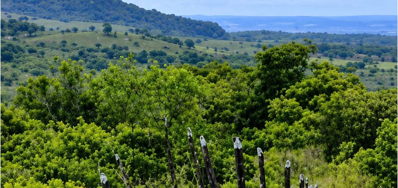Lote en Venta en Santa Catalina, Santa Catalina-1