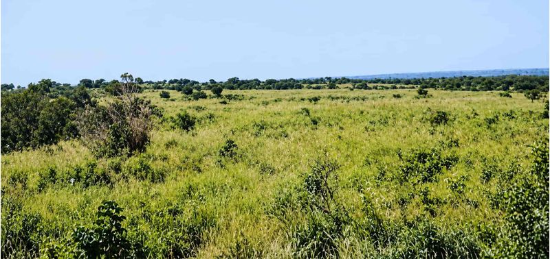 Lote en Venta en Santa Catalina, Santa Catalina-2