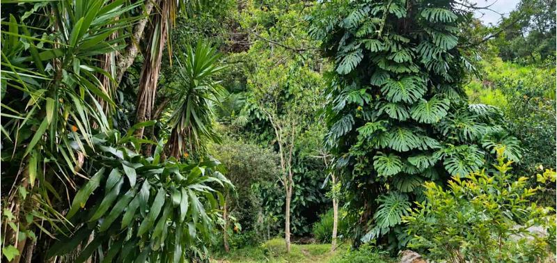 Lote en Venta en Medellín, San Cristóbal-2