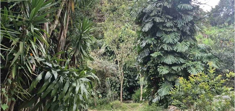 Lote en Venta en Medellín, San Cristóbal-14