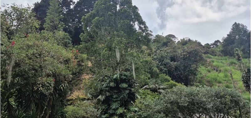 Lote en Venta en Medellín, San Cristóbal-15