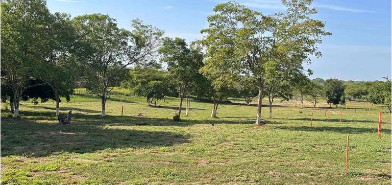 Lote en Venta en Cartagena De Indias, El Rubí-14