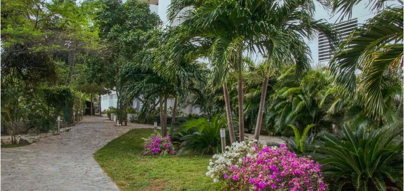 Apartamento en Venta en Santa Marta, Santa Marta (Distrito Turistico Cultural E Historico)-36