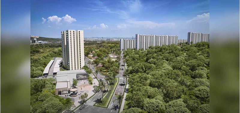 Gran Foresta Bardini proyecto de vivienda-9